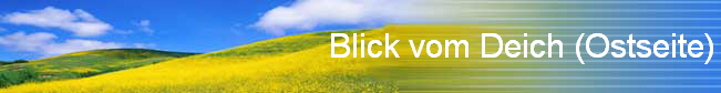 Blick vom Deich (Ostseite)